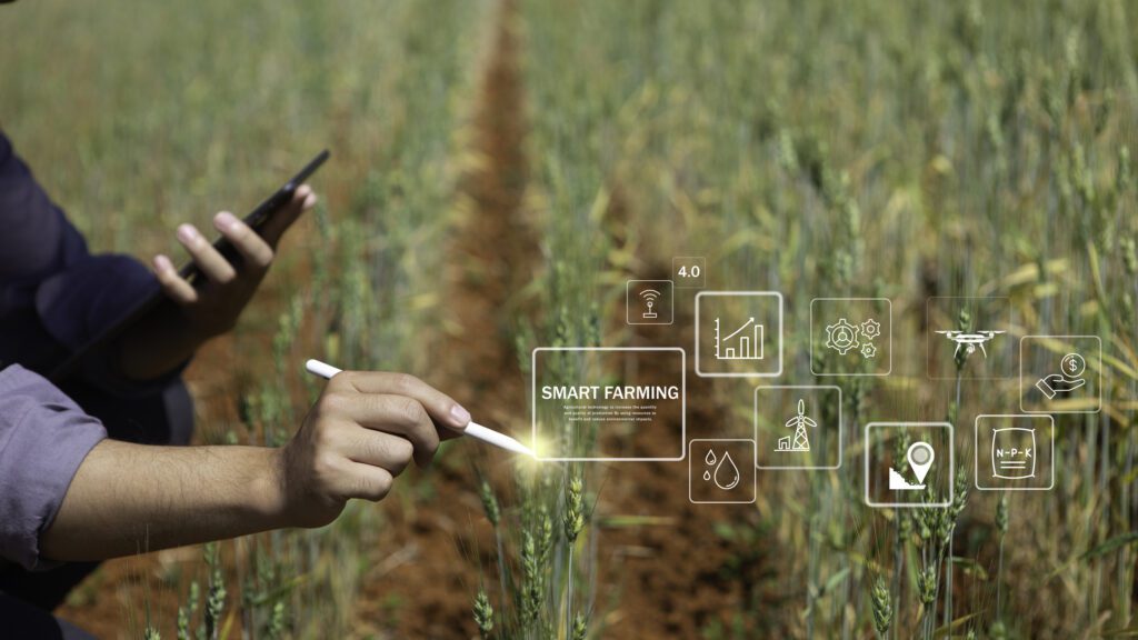 Managed IT Services Agricultural Austin